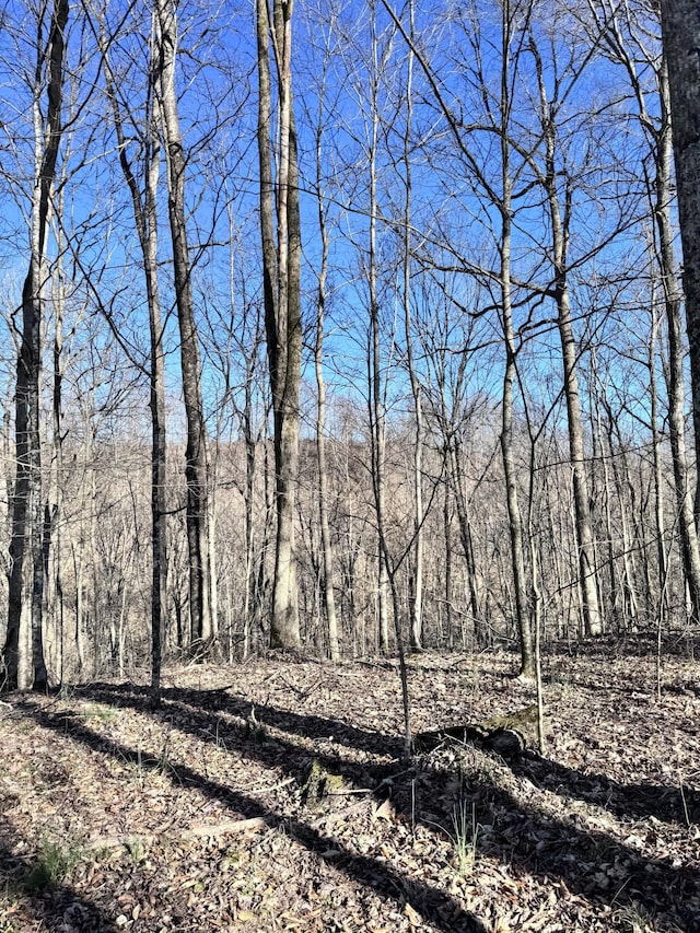 view of nature