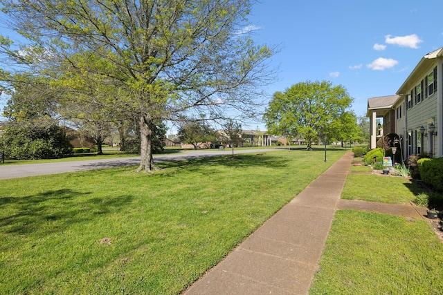 923 Todd Preis Dr, Nashville, TN 37221 - photo 46