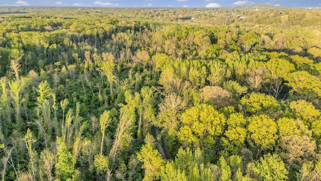 aerial view featuring a view of trees
