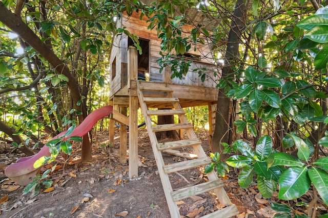 view of jungle gym