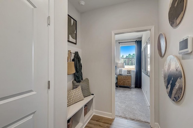 mudroom with wood finished floors, baseboards, and carpet flooring