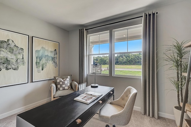 office with carpet floors and baseboards