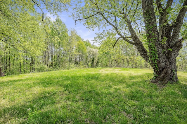 view of yard featuring a forest view