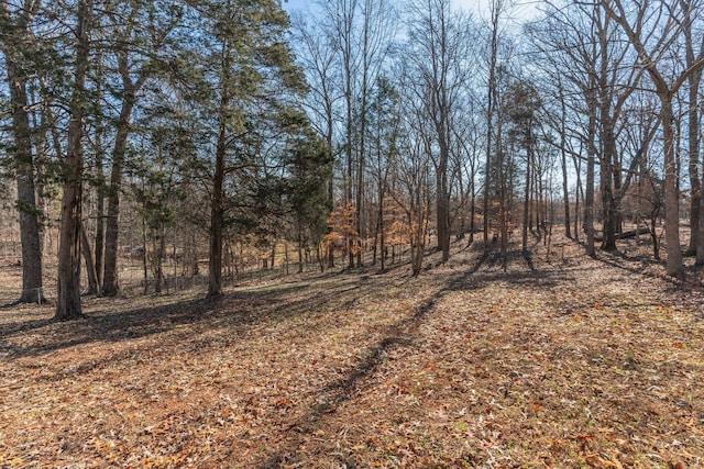 1312 Gip Manning Rd, Clarksville, TN 37042 - photo 25