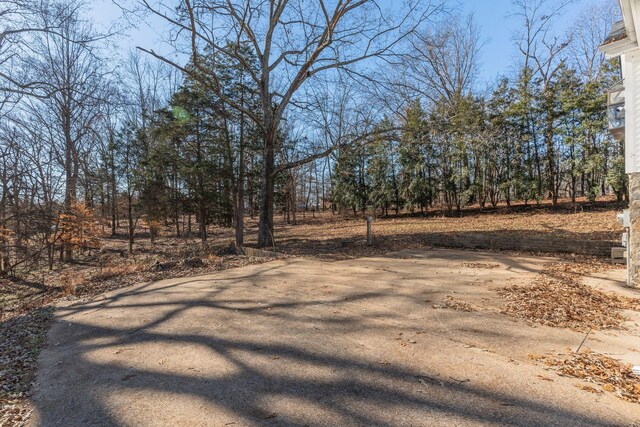1312 Gip Manning Rd, Clarksville, TN 37042 - photo 24