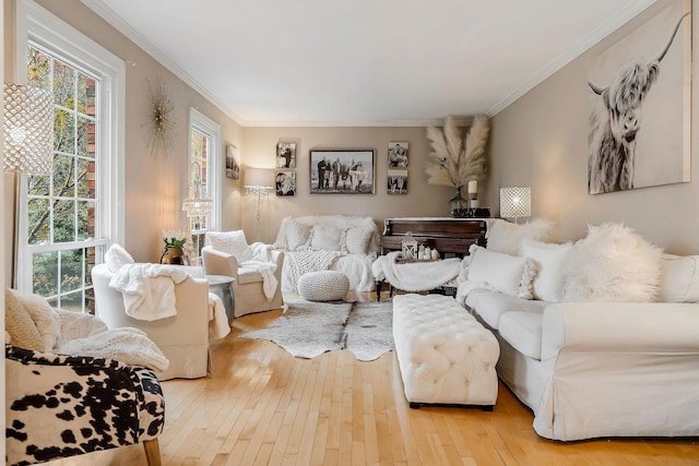 living area featuring light wood-style floors, plenty of natural light, and ornamental molding