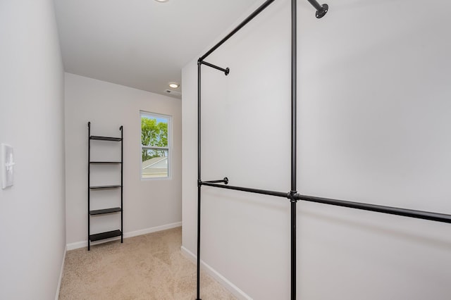118 Olivia Cir, Chapel Hill, TN 37034 - walk in closet featuring light carpet