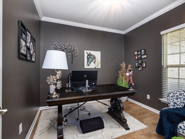 office with wood finished floors, baseboards, and ornamental molding