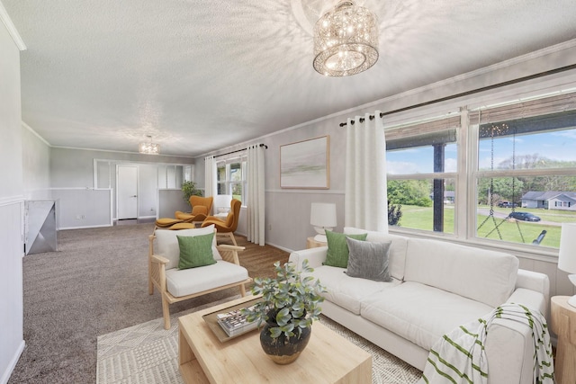 carpeted living room with an inviting chandelier, a wealth of natural light, crown molding, and a textured ceiling