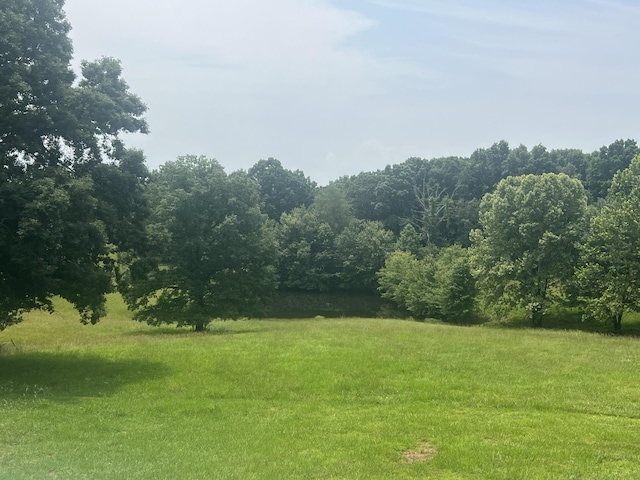 612 Jesse Work Rd, Dickson, TN 37055 - view of yard featuring a forest view
