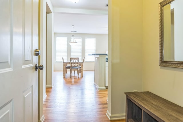 hall featuring baseboards and wood finished floors