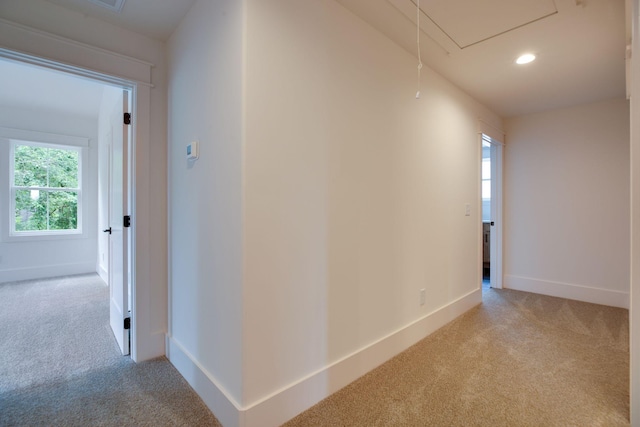 446 Roberts St, Murfreesboro, TN 37130 - photo 28
