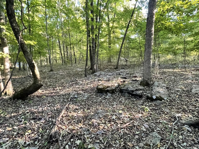 0 Carthage Hwy, Lebanon, TN 37087