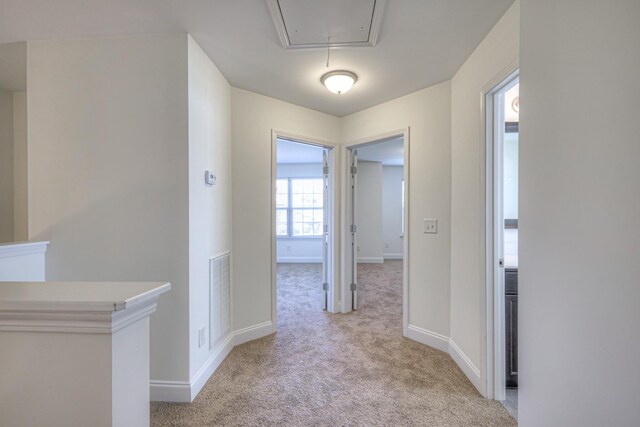 956 Innsbrooke Ave, Hendersonville, TN 37075 - corridor featuring attic access, light colored carpet, and baseboards