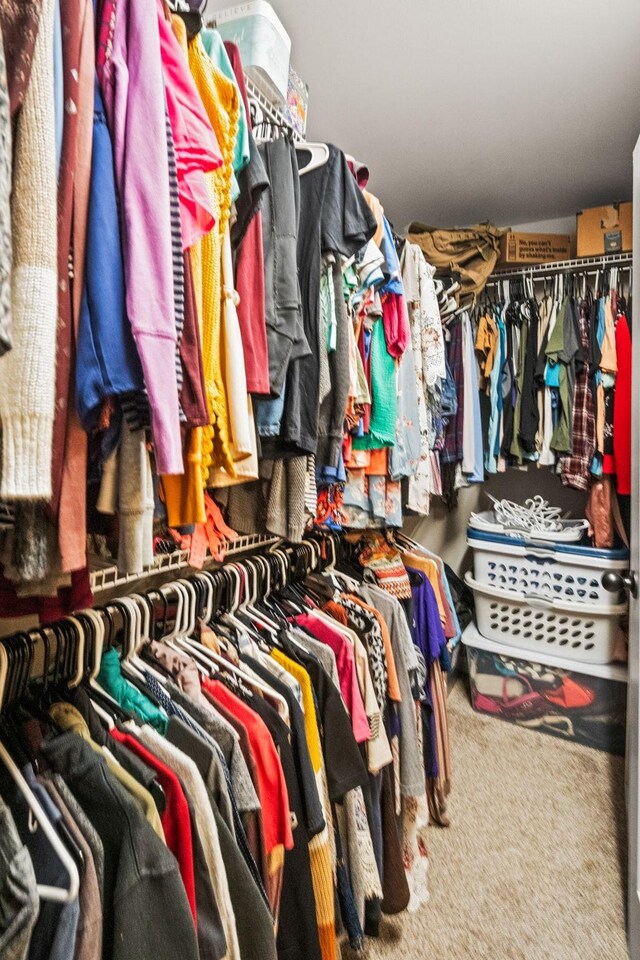 walk in closet with carpet