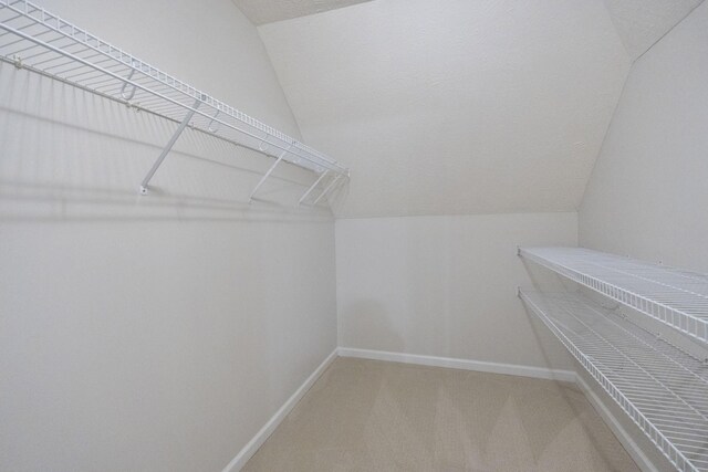 102 Munson Ct, Smyrna, TN 37167 - walk in closet with lofted ceiling and carpet flooring