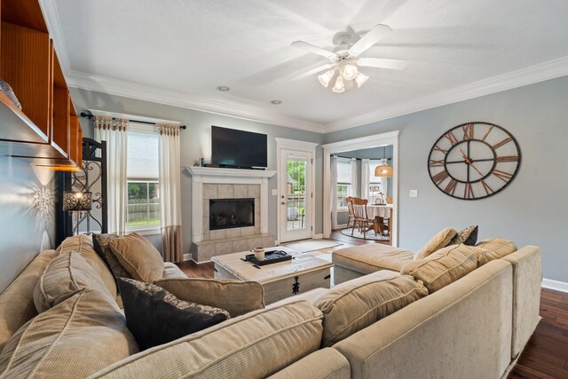 102 Munson Ct, Smyrna, TN 37167 - living room featuring a tiled fireplace, dark wood-style floors, ceiling fan, plenty of natural light, and crown molding