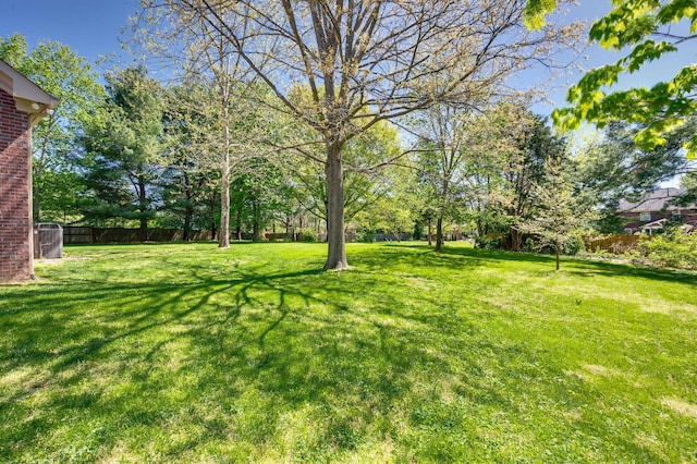1008 Green Hill Cv, Brentwood, TN 37027 - view of yard featuring fence