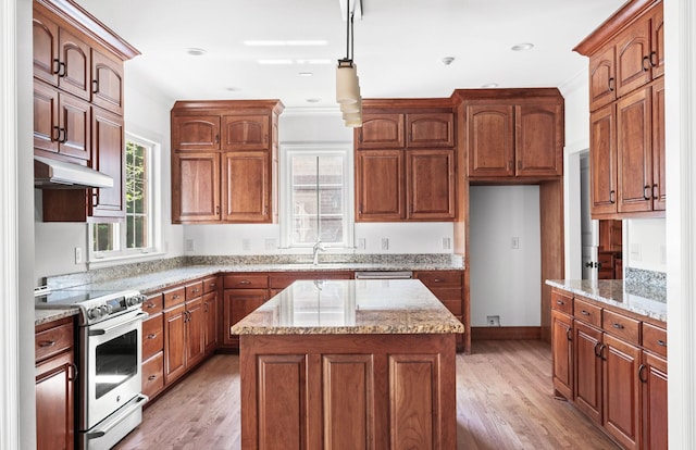 1008 Green Hill Cv, Brentwood, TN 37027 - kitchen with light wood-type flooring, under cabinet range hood, a sink, and electric stove