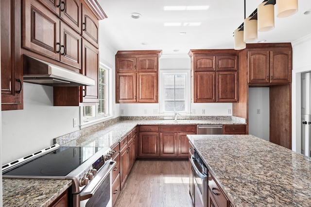 1008 Green Hill Cv, Brentwood, TN 37027 - kitchen with light wood finished floors, under cabinet range hood, a sink, stone counters, and appliances with stainless steel finishes
