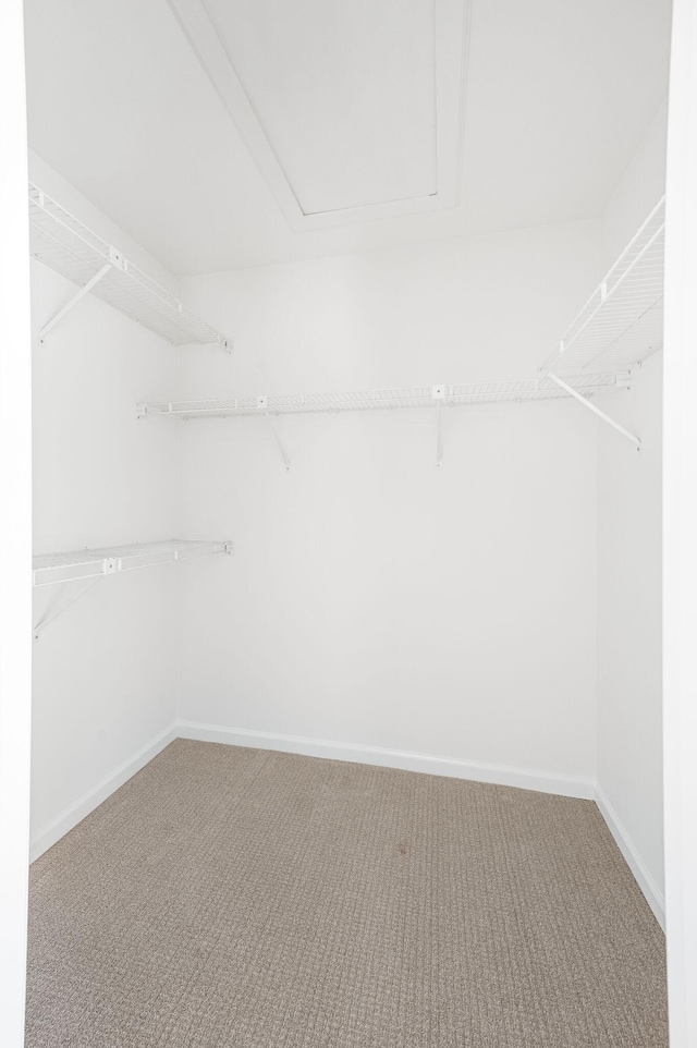 1008 Green Hill Cv, Brentwood, TN 37027 - spacious closet featuring carpet flooring