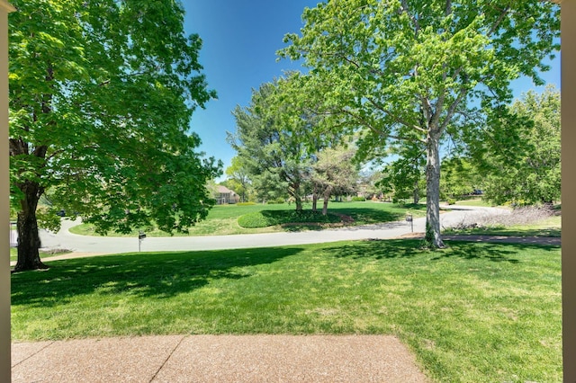 1008 Green Hill Cv, Brentwood, TN 37027 - view of home's community featuring a yard