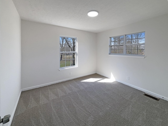 958 Clearview Rd, Cottontown, TN 37048 - spare room with a wealth of natural light, baseboards, visible vents, and carpet floors