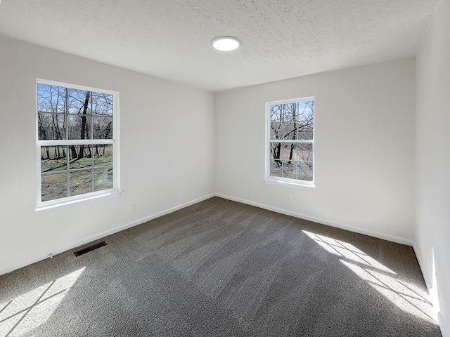 958 Clearview Rd, Cottontown, TN 37048 - empty room featuring dark carpet, a wealth of natural light, and visible vents