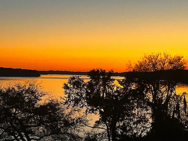 247 Woods Ferry Cir, Gallatin, TN 37066 - water view