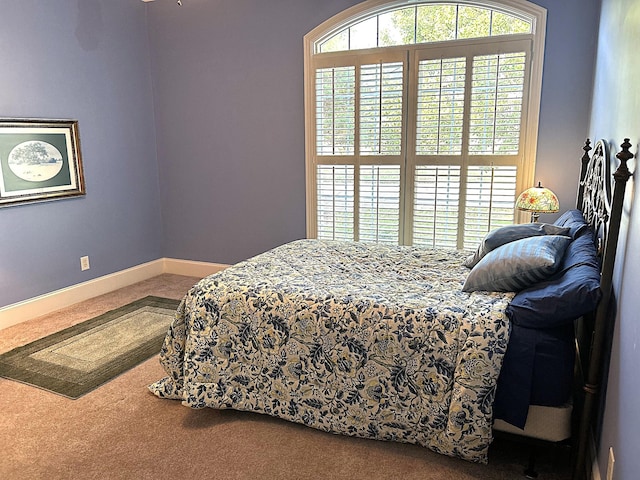 247 Woods Ferry Cir, Gallatin, TN 37066 - carpeted bedroom featuring baseboards