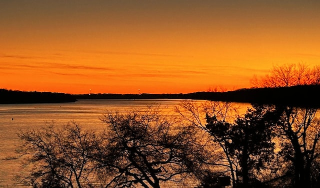 247 Woods Ferry Cir, Gallatin, TN 37066 - water view
