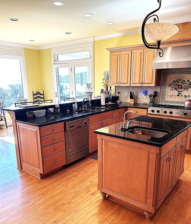 247 Woods Ferry Cir, Gallatin, TN 37066 - kitchen with stainless steel appliances, a sink, crown molding, wall chimney range hood, and healthy amount of natural light