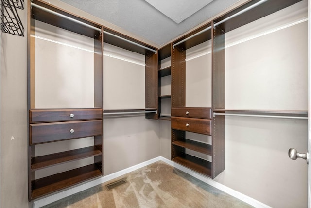 3051 Outfitters Dr, Clarksville, TN 37040 - spacious closet featuring carpet floors and visible vents
