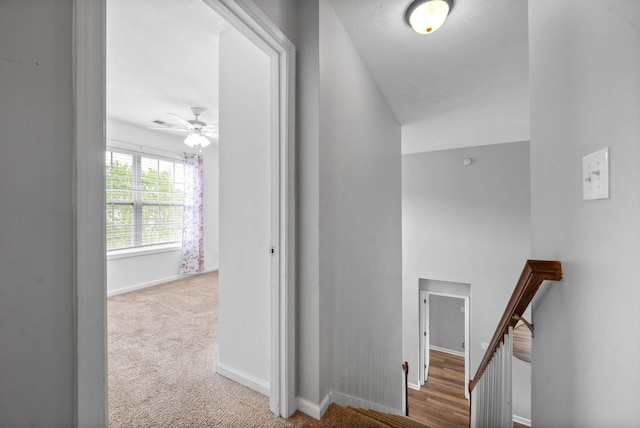 3051 Outfitters Dr, Clarksville, TN 37040 - hall with carpet, baseboards, and an upstairs landing