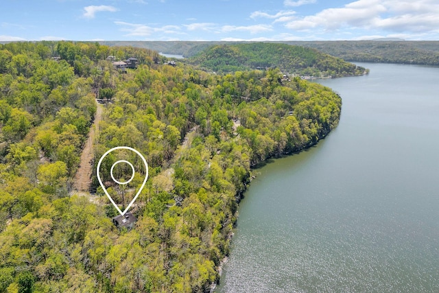 bird's eye view featuring a view of trees and a water view