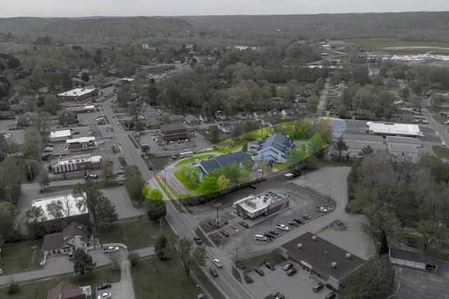 470 S Main St Unit 106, Ashland City, TN 37015 - bird's eye view