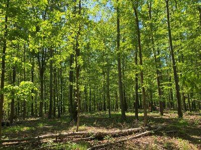 218 Shady Grove Rd, Flintville, TN 37335 - photo 76