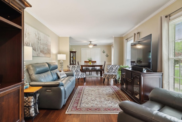 110 Ewingville Dr, Franklin, TN 37064 - living area featuring wood finished floors, crown molding, and ceiling fan