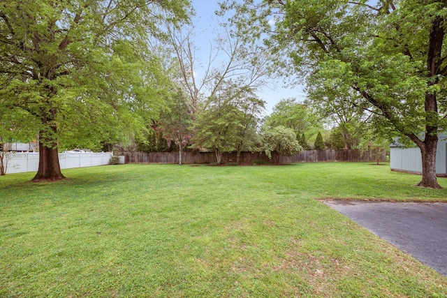 110 Ewingville Dr, Franklin, TN 37064 - view of yard