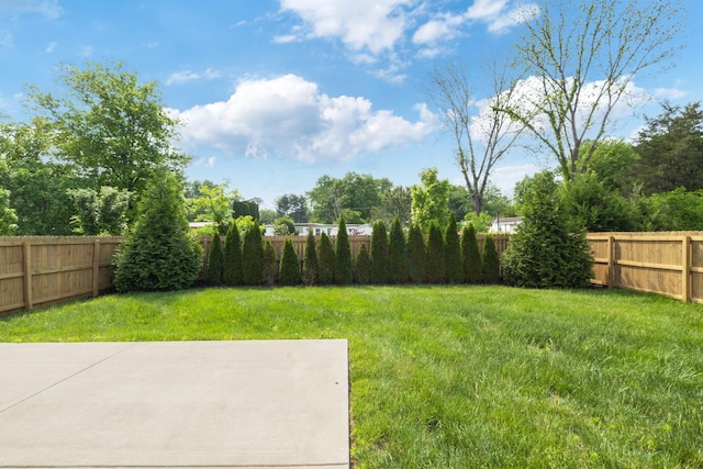 3515 Anthony Ave, Murfreesboro, TN 37129 - view of yard featuring a fenced backyard and a patio area