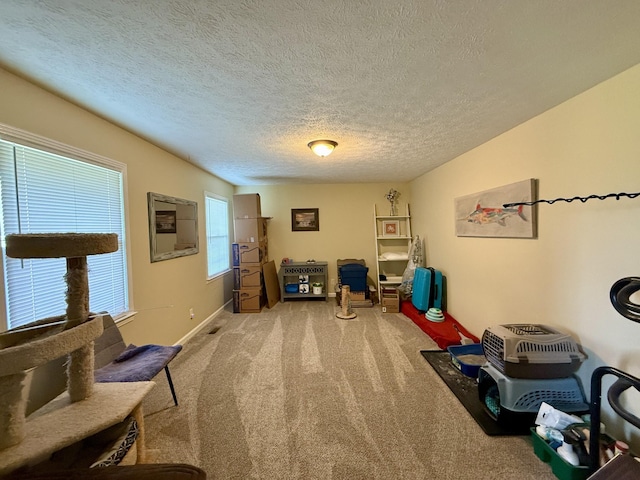 sitting room with baseboards, carpet flooring, and a textured ceiling