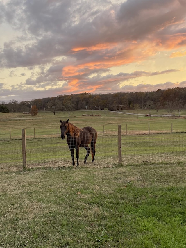yard at dusk featuring a rural view and fence