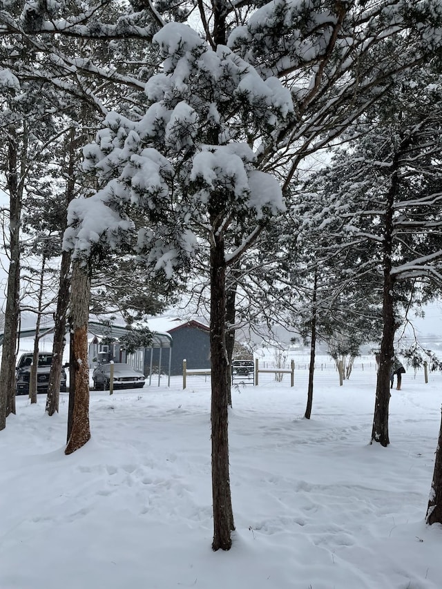 view of yard covered in snow