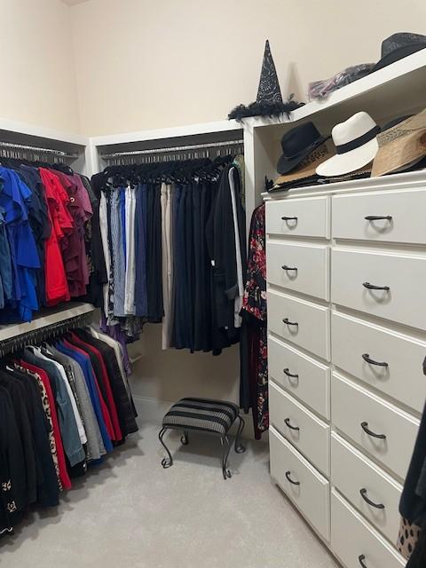 889 Plantation Blvd, Gallatin, TN 37066 - walk in closet featuring carpet floors