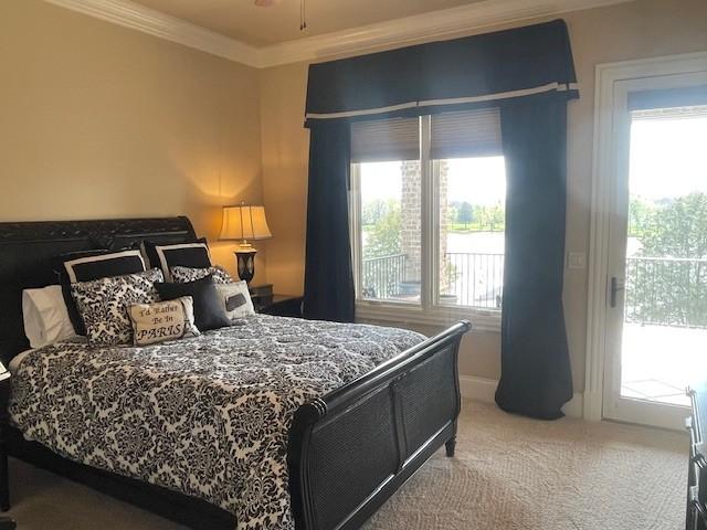889 Plantation Blvd, Gallatin, TN 37066 - bedroom with carpet flooring, access to outside, ornamental molding, and multiple windows