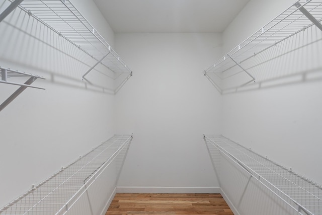 6336 Hickory Dr, Centerville, TN 37033 - spacious closet with light wood finished floors