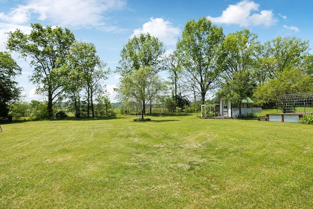 view of yard