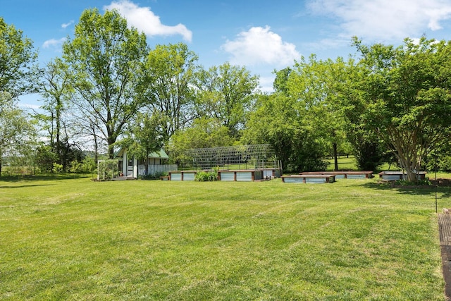 view of yard featuring a garden