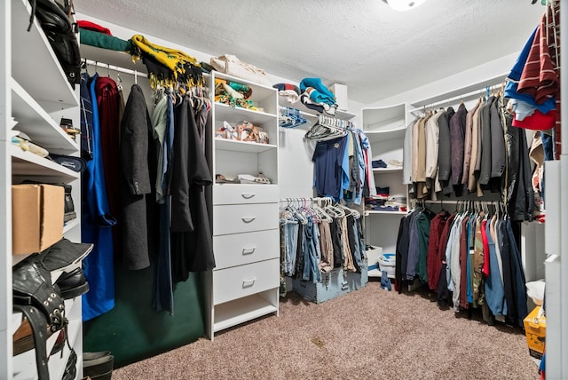 2413 Tana Way, Clarksville, TN 37042 - walk in closet with carpet flooring