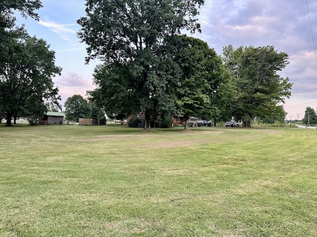 946 Monument Rd, Summertown, TN 38483 - view of yard